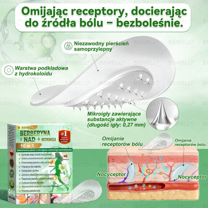 💫💫BSWELL® Nano mikroigłowy plaster wyszczuplający (Raz dziennie, efekty już po 28 dniach ✅ Wspiera odchudzanie, serce, cukrzycę, sen, jelita, stawy i więcej.